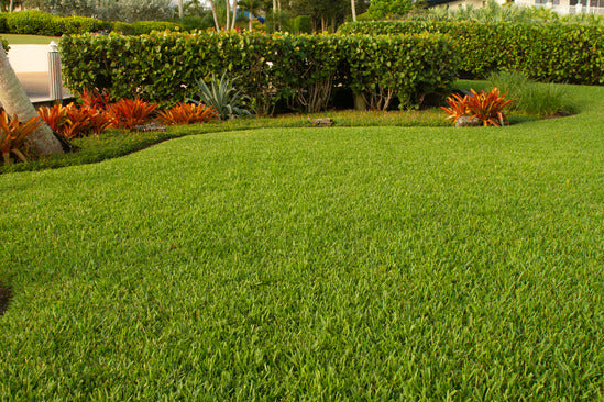 A well-maintained lawn with Bethel Farms Premium Sod.