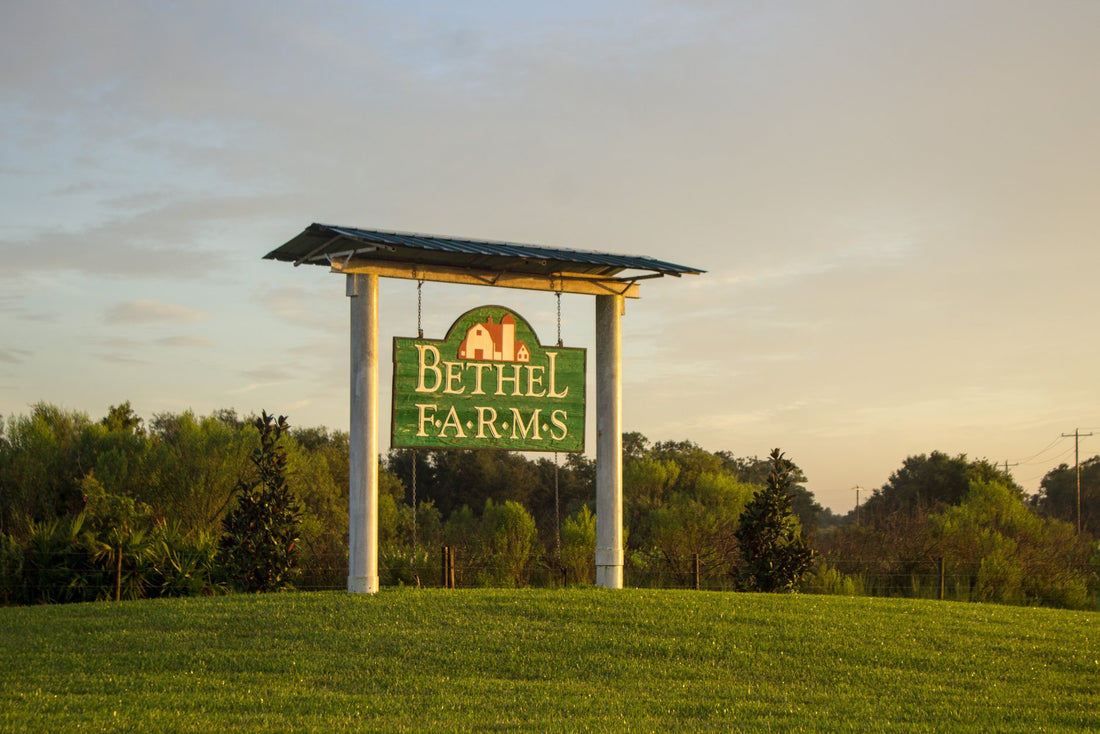 Bethel Farms