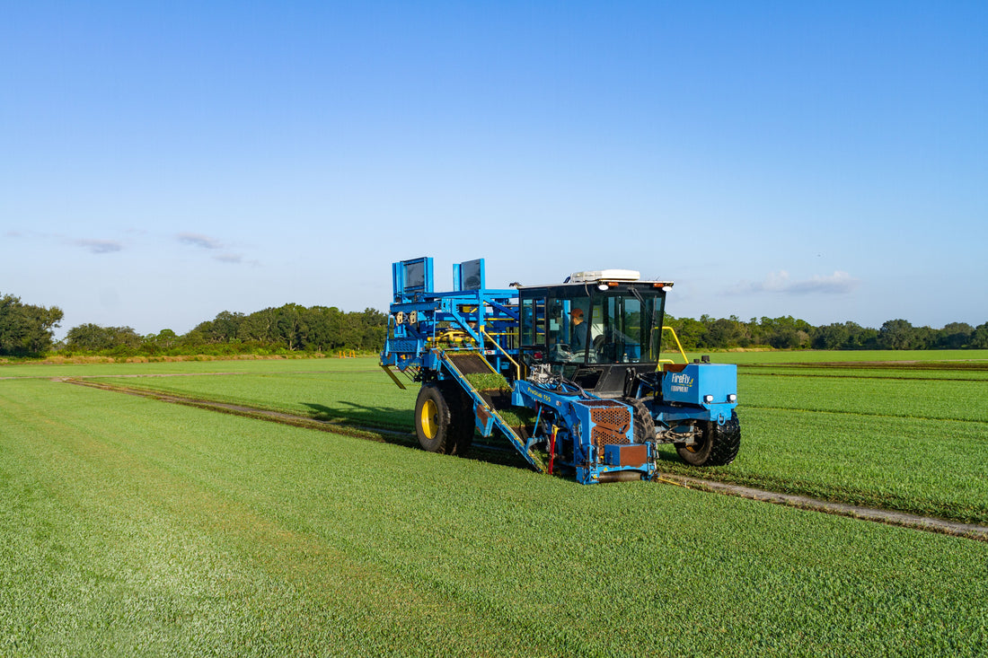 Image of Environmental Initiatives:Bethel Farms' environmental initiatives for sustainable grass production.