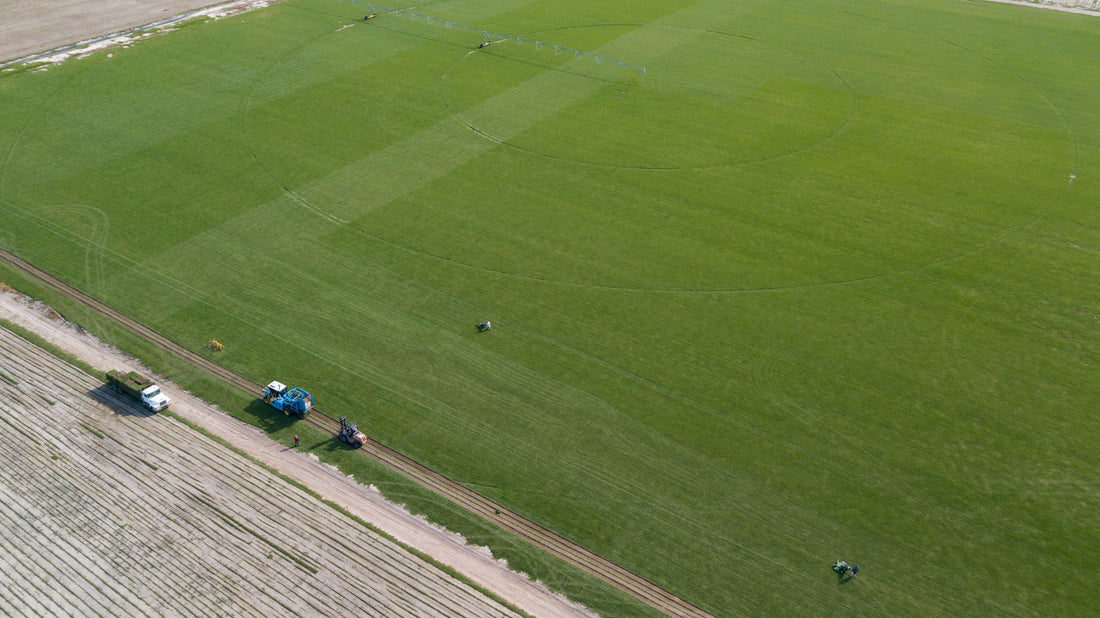 Bethel Farms: A Fresh Perspective on the Sod Landscape