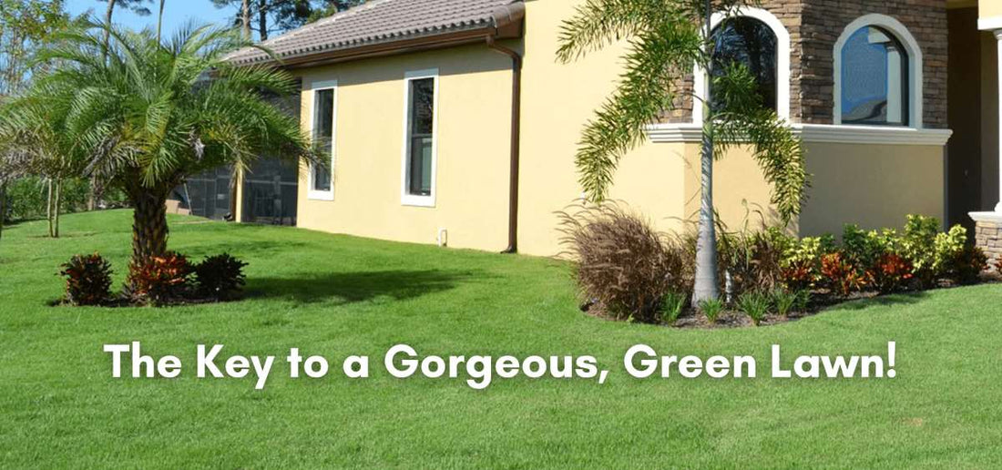 Ideal Choice for Low-Maintenance Landscaping