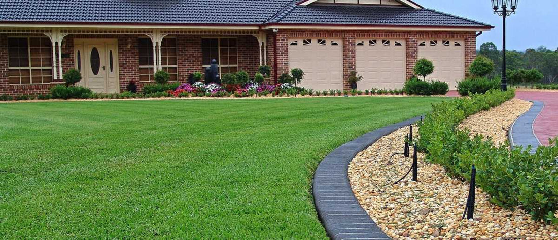 Common Problems with Seville St. Augustine Grass and How to Fix Them