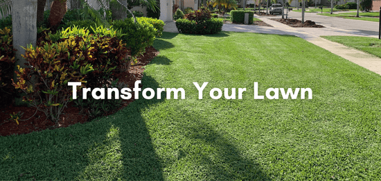 Transform your lawn with sod
