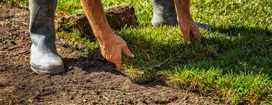 When is the Best Time to Lay Sod