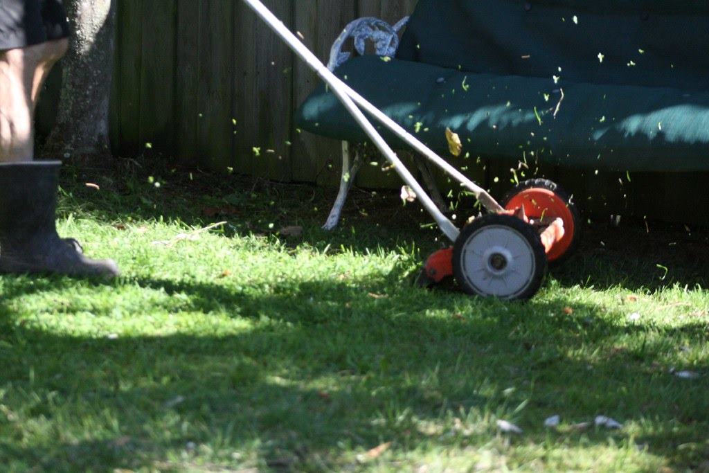 after-mowing-lawn-care