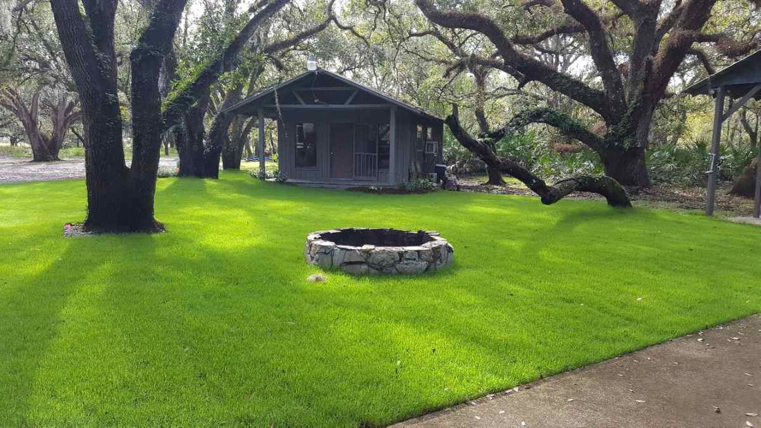 bermuda-grass-planting-guide