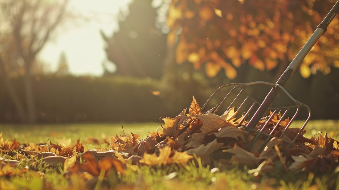 fall-lawn-maintenance-tips