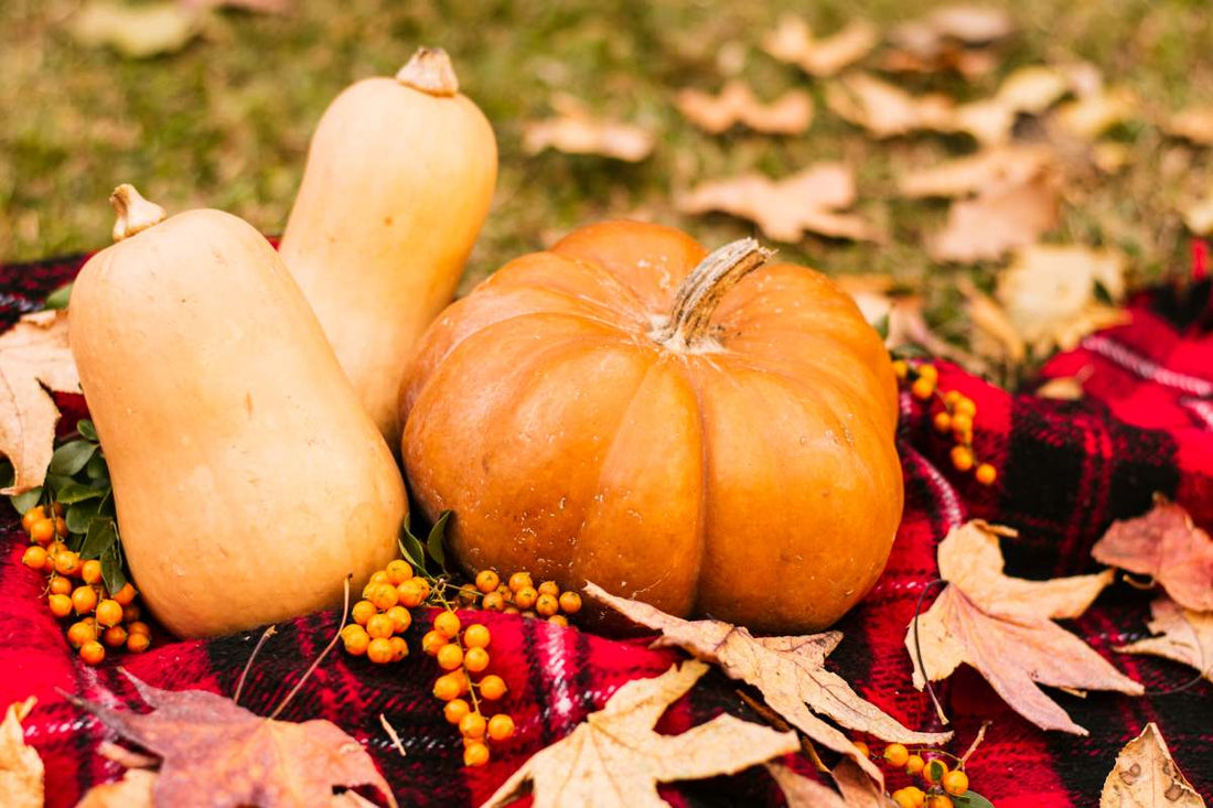 7 Fun Fall Activities to Do in Your Backyard