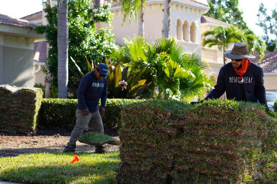 grass-sod-for-sale-bethel-farms