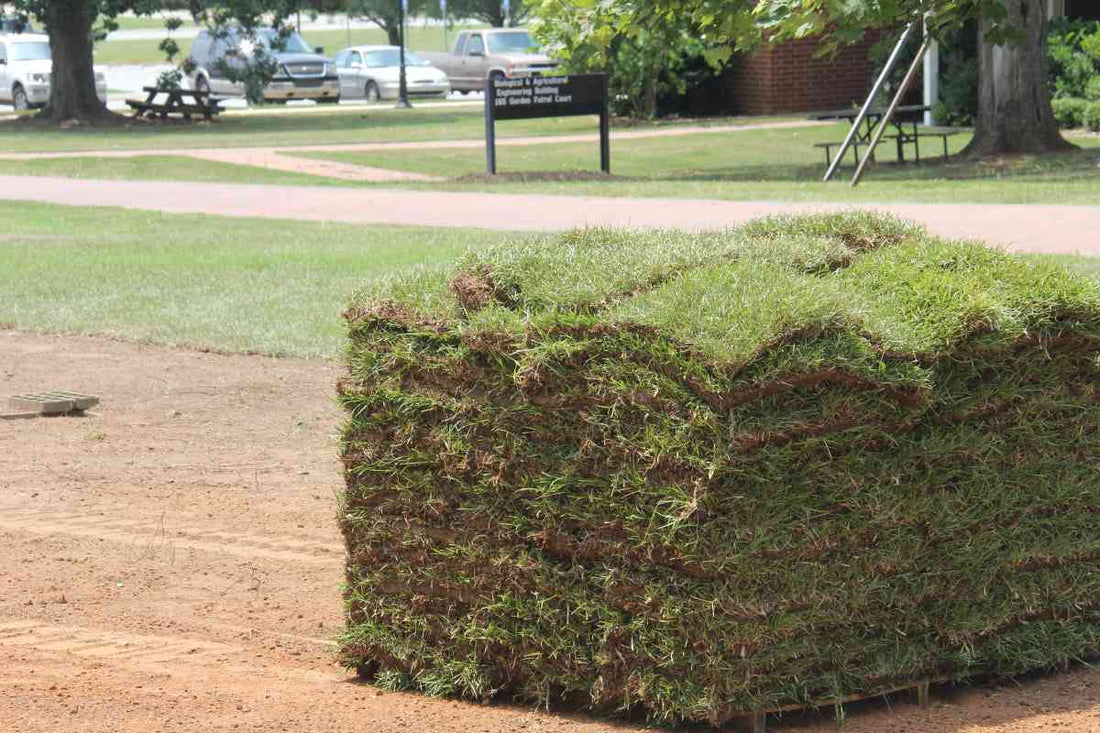 how-much-sod-do-i-need