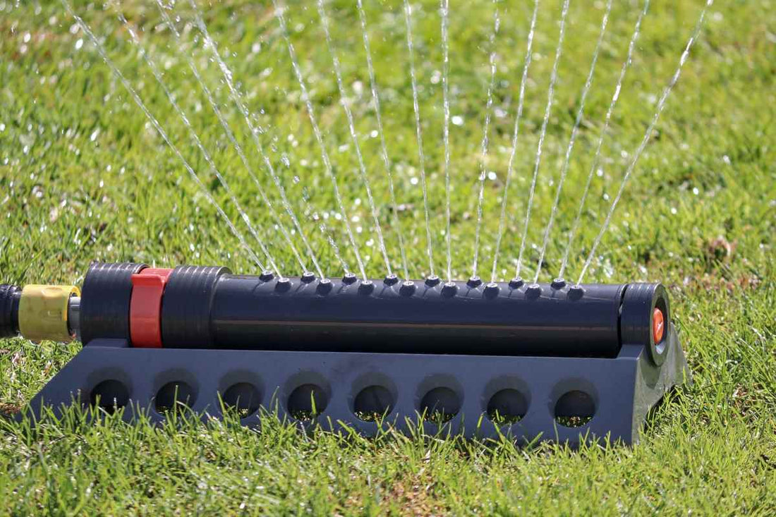 how-to-avoid-overwatering-grass-in-fall