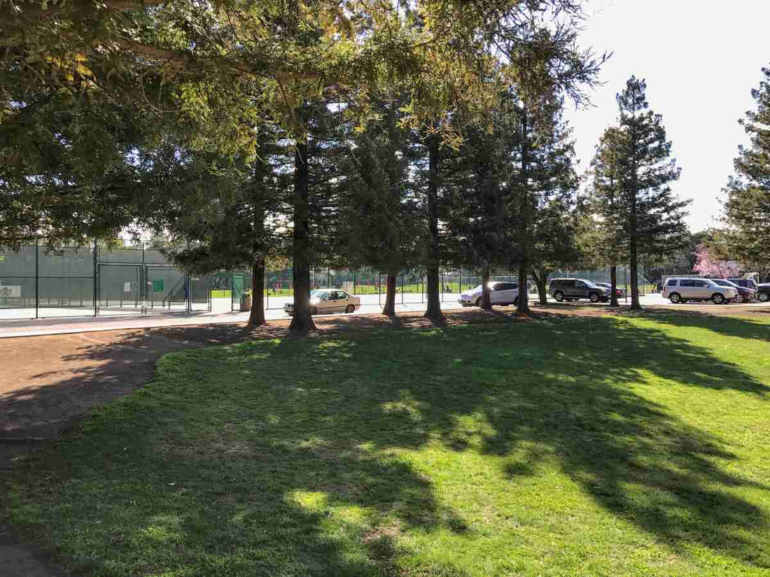 how-to-control-soil-erosion-in-lawn