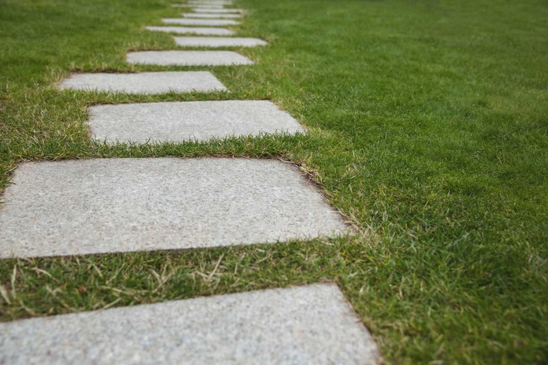 how-to-maintain-high-traffic-lawn