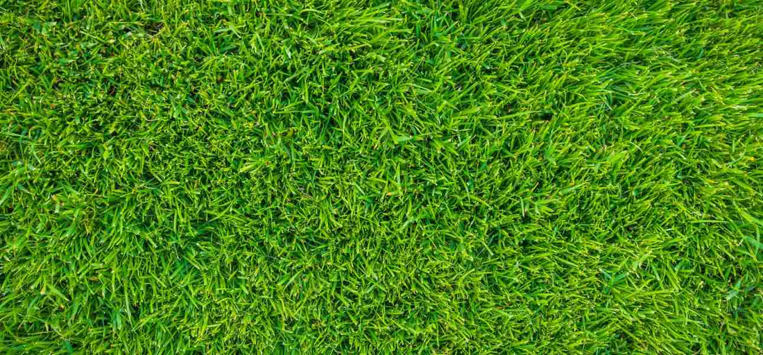 how-to-measure-how-much-sod-you-need