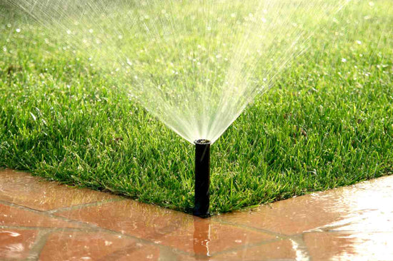 how-to-water-lawn-properly
