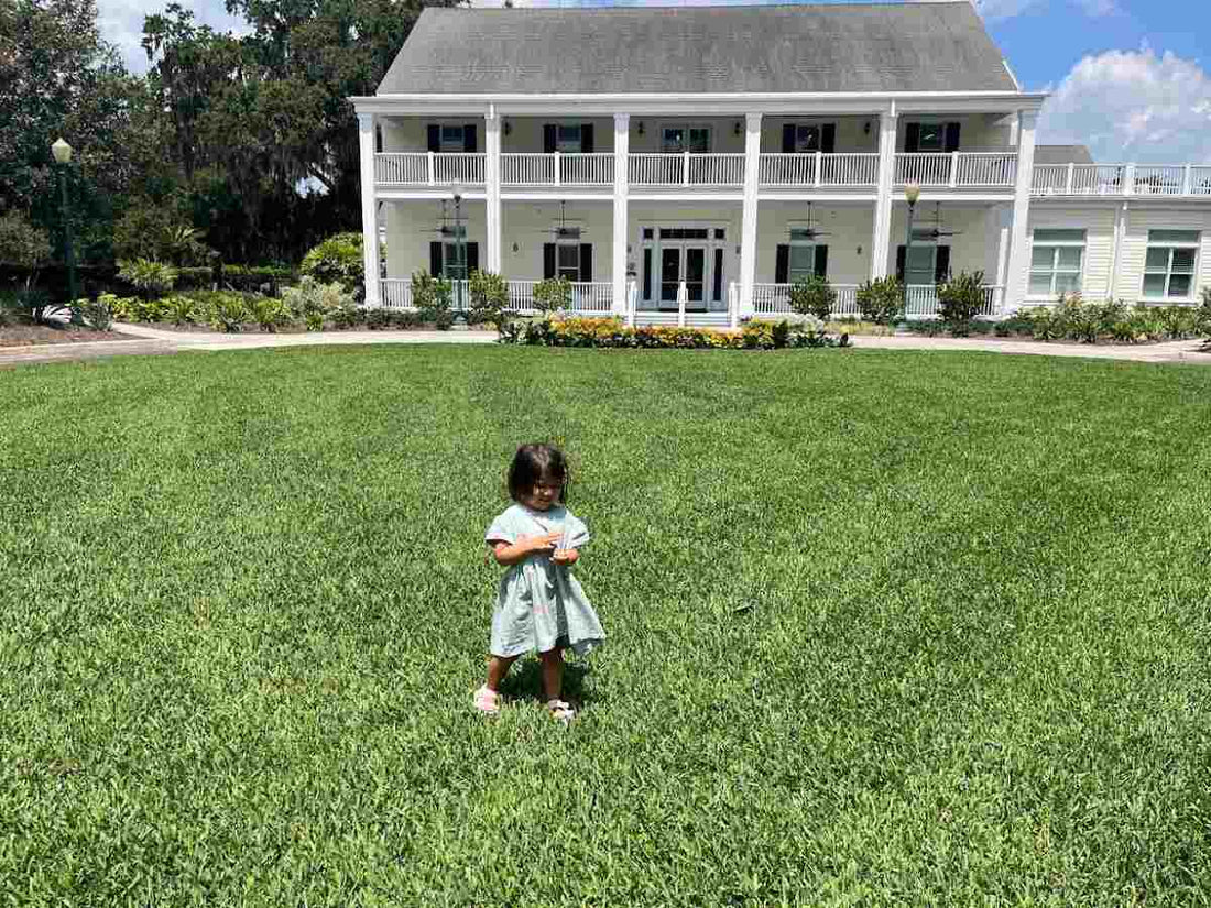 introducing-scotts-viridian-st-augustine