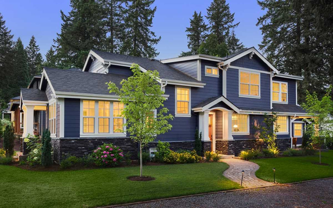 Why Zoysia Grass Suffers in Shade—And What You Can Install Instead
