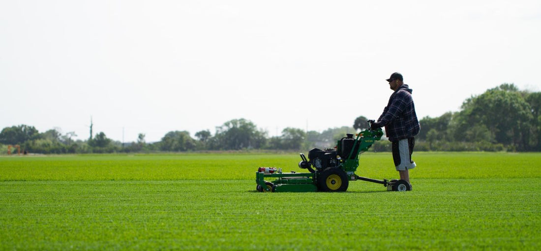 lawn-mowing-mistakes