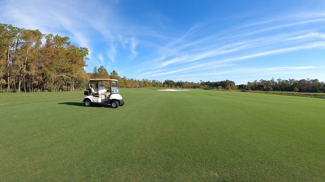 qualities-of-golf-grass
