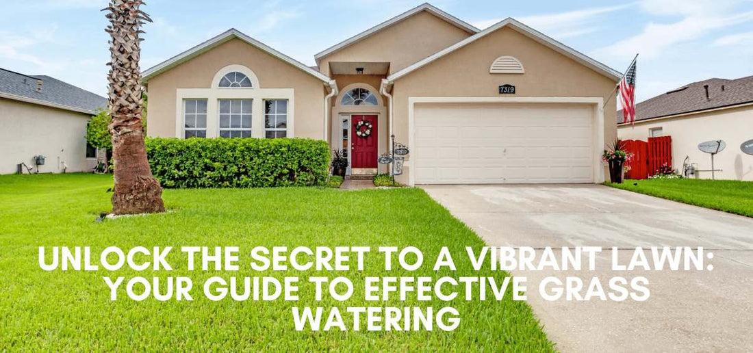 secret to a vibrant lawn