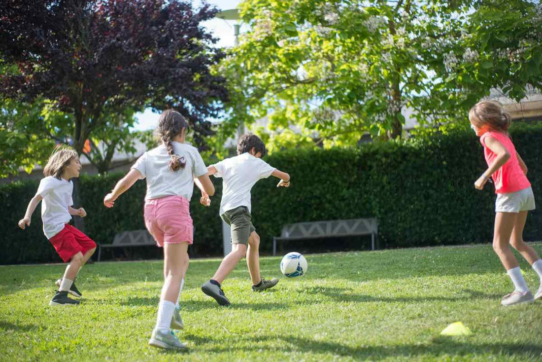 summer-lawn-care-tips