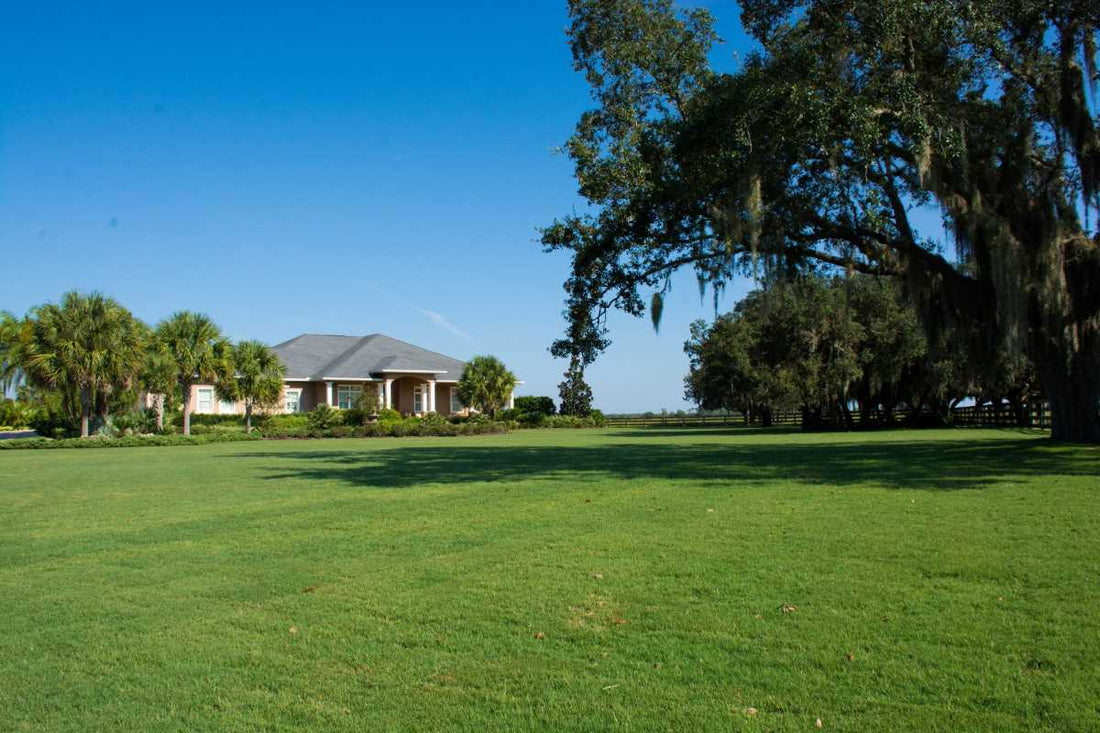 why-bermuda-grass-looks-dull