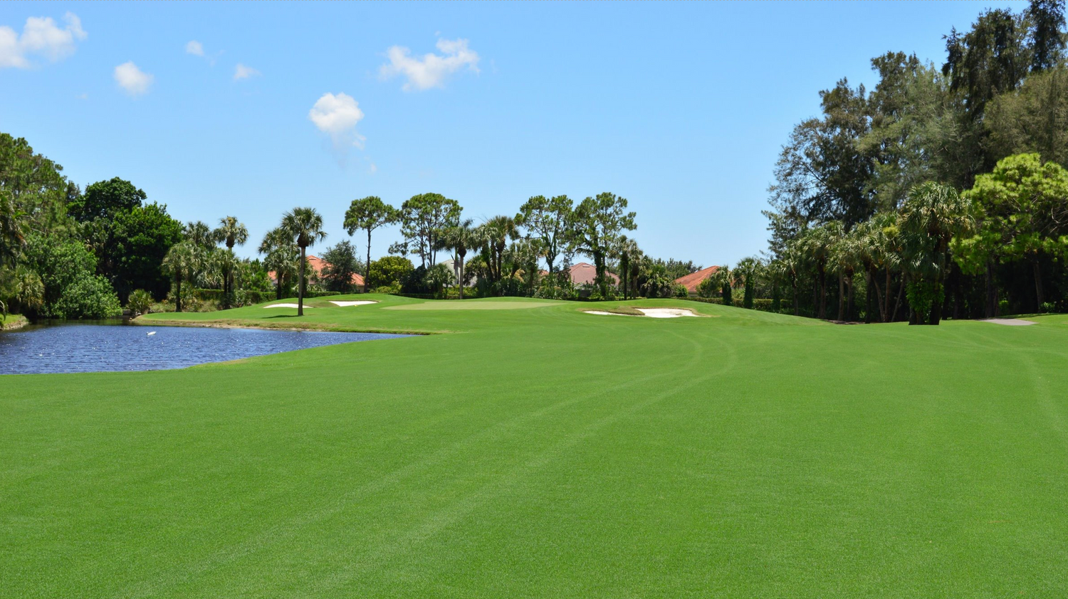 bethel farms golf course grass