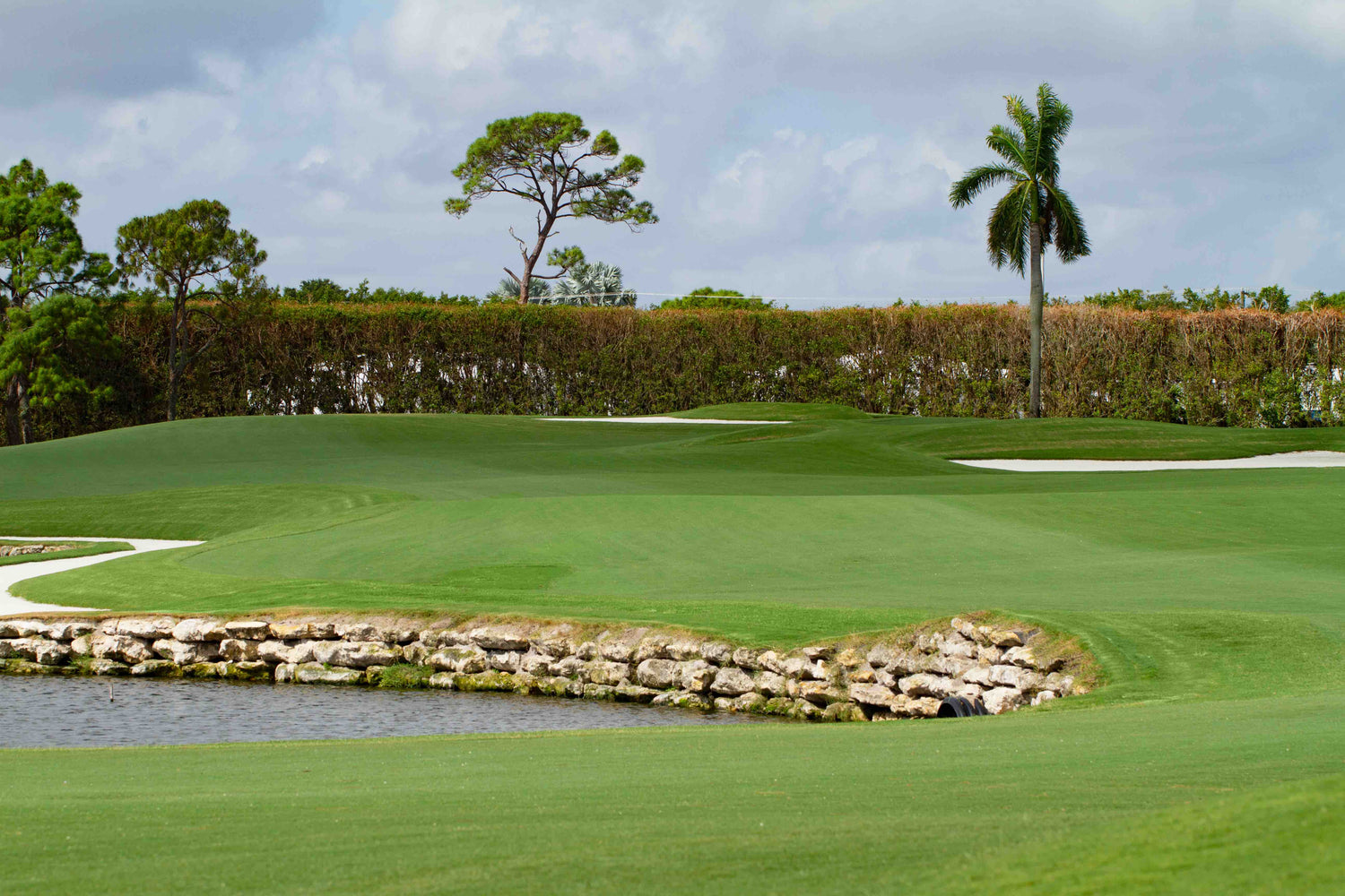 <p>"BIMINI® has been at Imperial Golf Course since 1995 and has remained pure. I haven't noticed any mutations. The west side was planted six years ago and those fairways are beautiful. Nice density and performs well in cooler temperatures while other bermudas shut down."</p><p></p><p>-Mike Hendrix, Imperial Golf Course</p>
