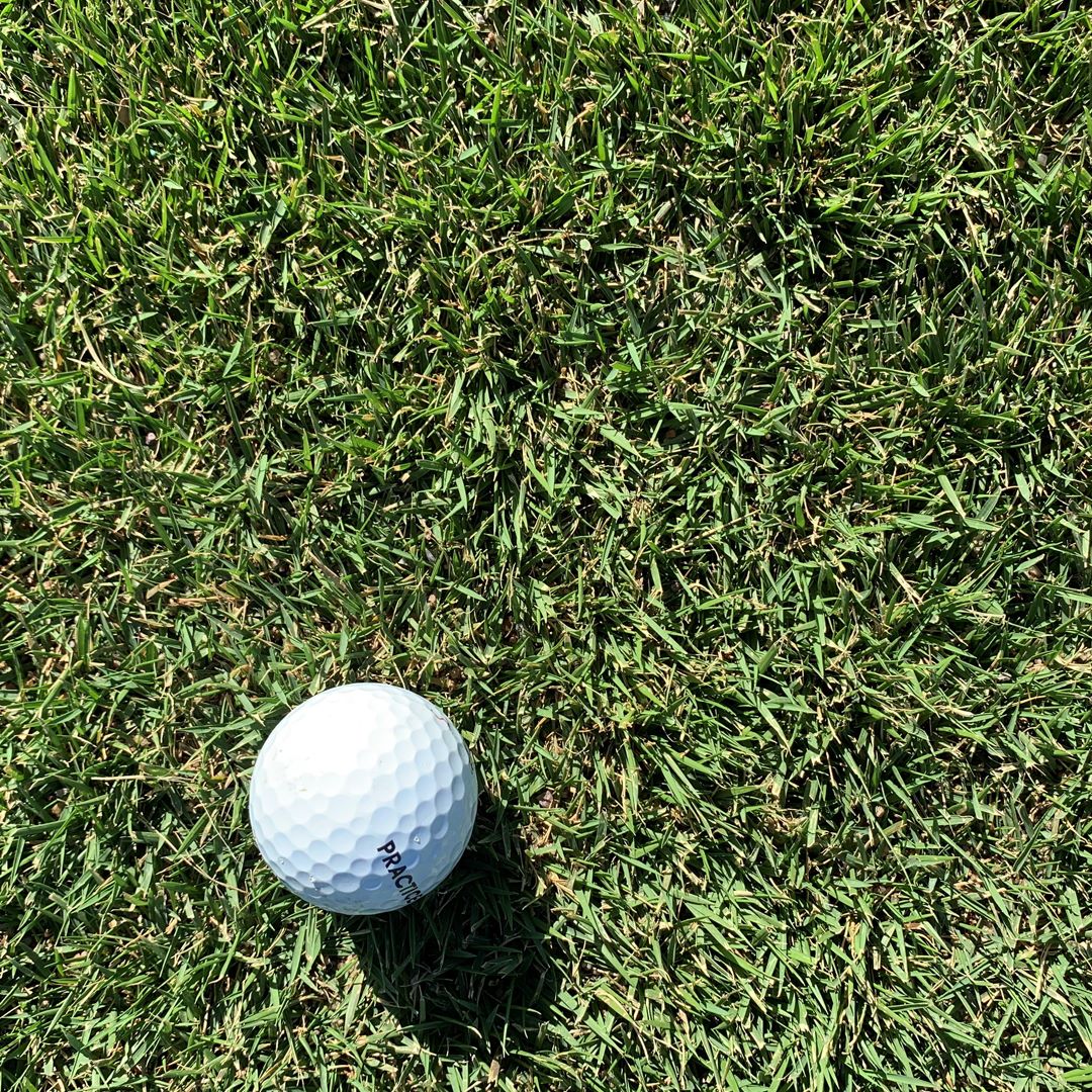 Durban Seashore Paspalum