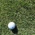 Durban Seashore Paspalum