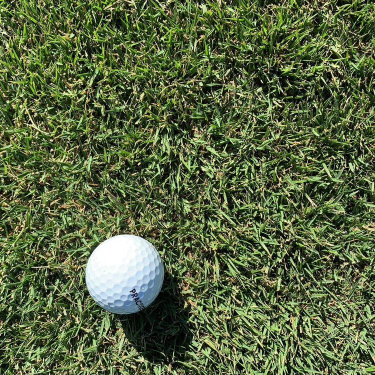 Durban Seashore Paspalum