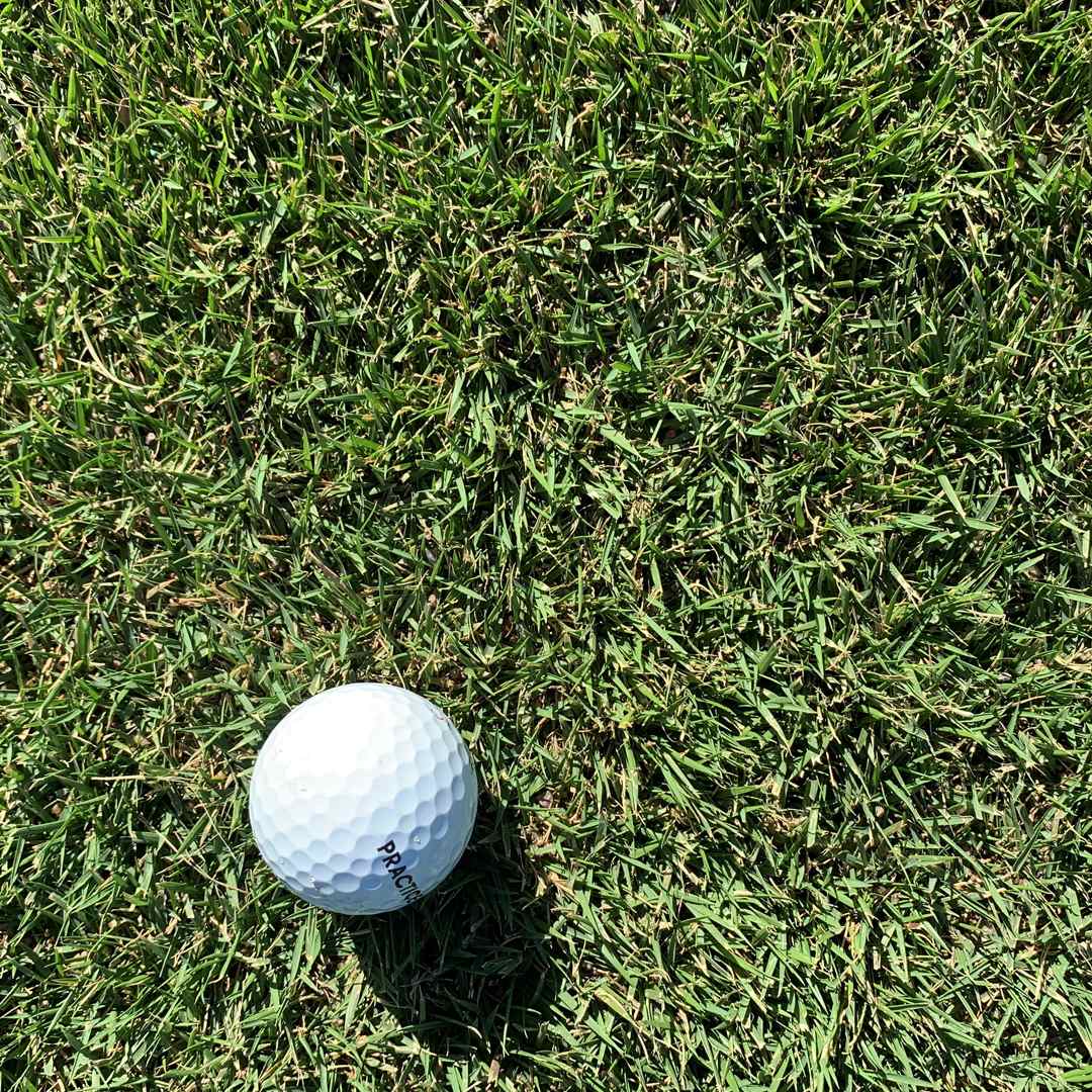 Gateway Zoysiagrass