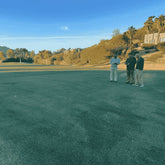 Durban Seashore Paspalum