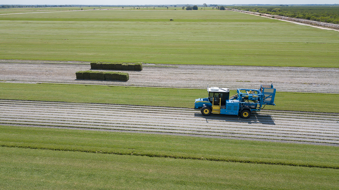 sod field bethel countyline