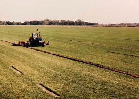 bethel farms history