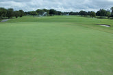 Imperial® Bermuda