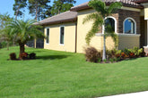 Icon® Zoysia