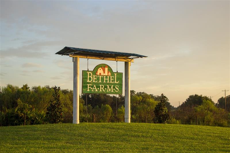 Bethel Farms Field Signage