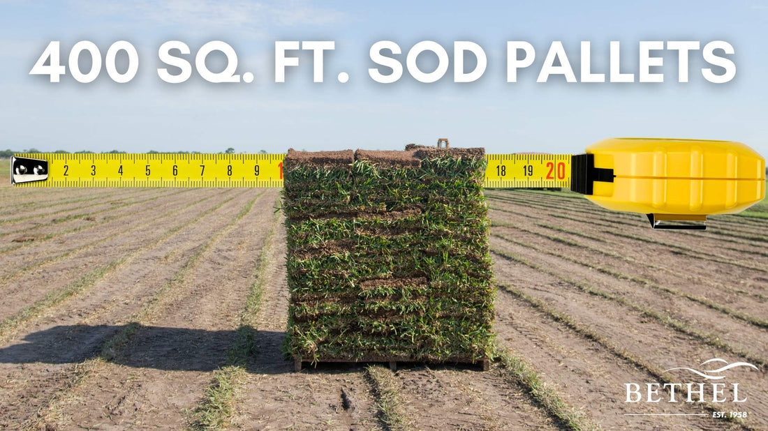 From Pallets to Lawn: Understanding How Many Square Feet Are in a Pallet of Sod?