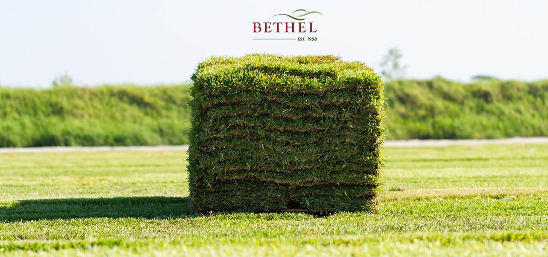 Grass sod store near me