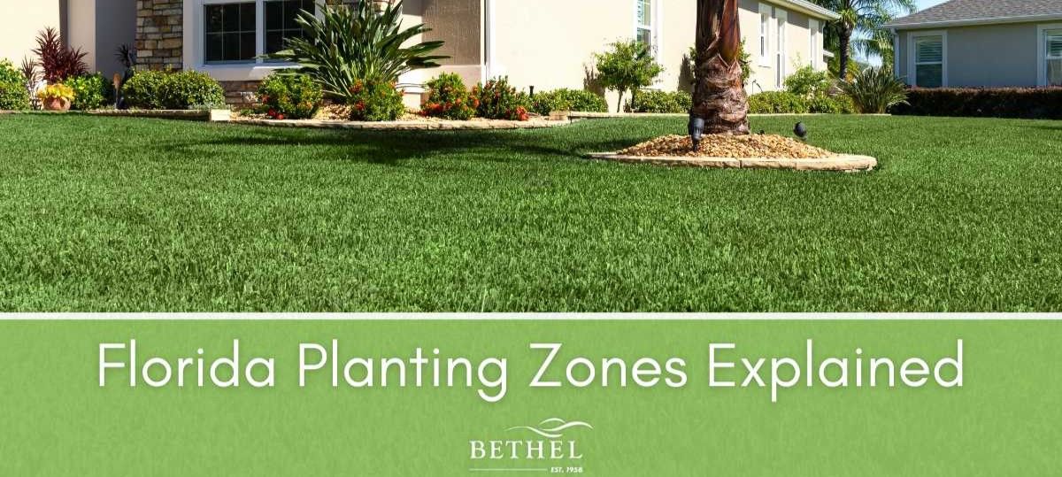 What is My Planting Zone? | Bethel Farms