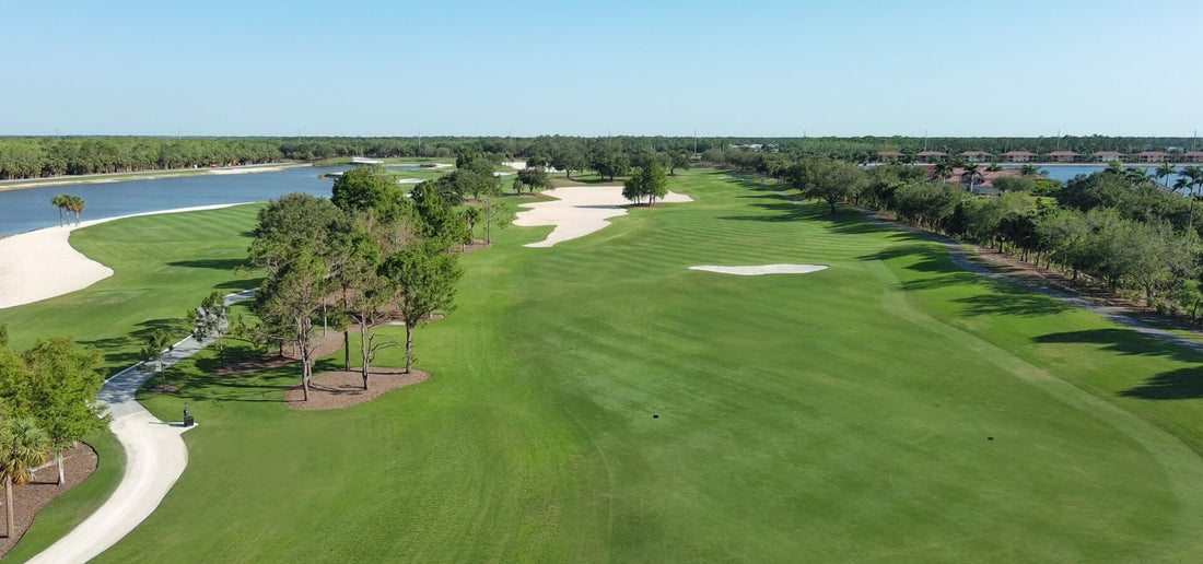 The Power of Grass Sod in Shaping Beautiful Golf Courses and Home Lawns