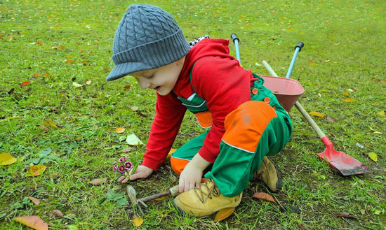 How to Level and Replant Bare Spots Before Winter