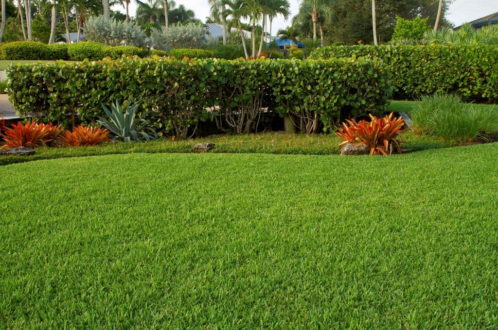 Fertilizer Is Back October 1: How to Restart Your Florida Lawn the Right Way