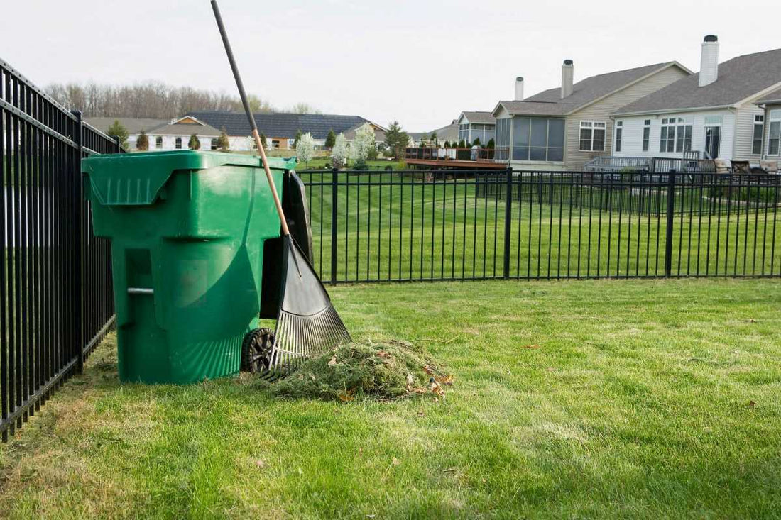New Year Fresh Lawn How To Detox Your Lawn for 2026 Bethel Farms