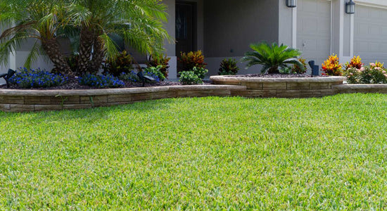 ProVista Residential Lawn