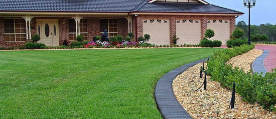 Common Problems with Seville St. Augustine Grass and How to Fix Them