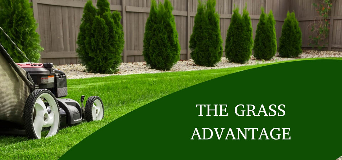 The Grass Advantage: How Planting More Lawns Can Combat Air Pollution
