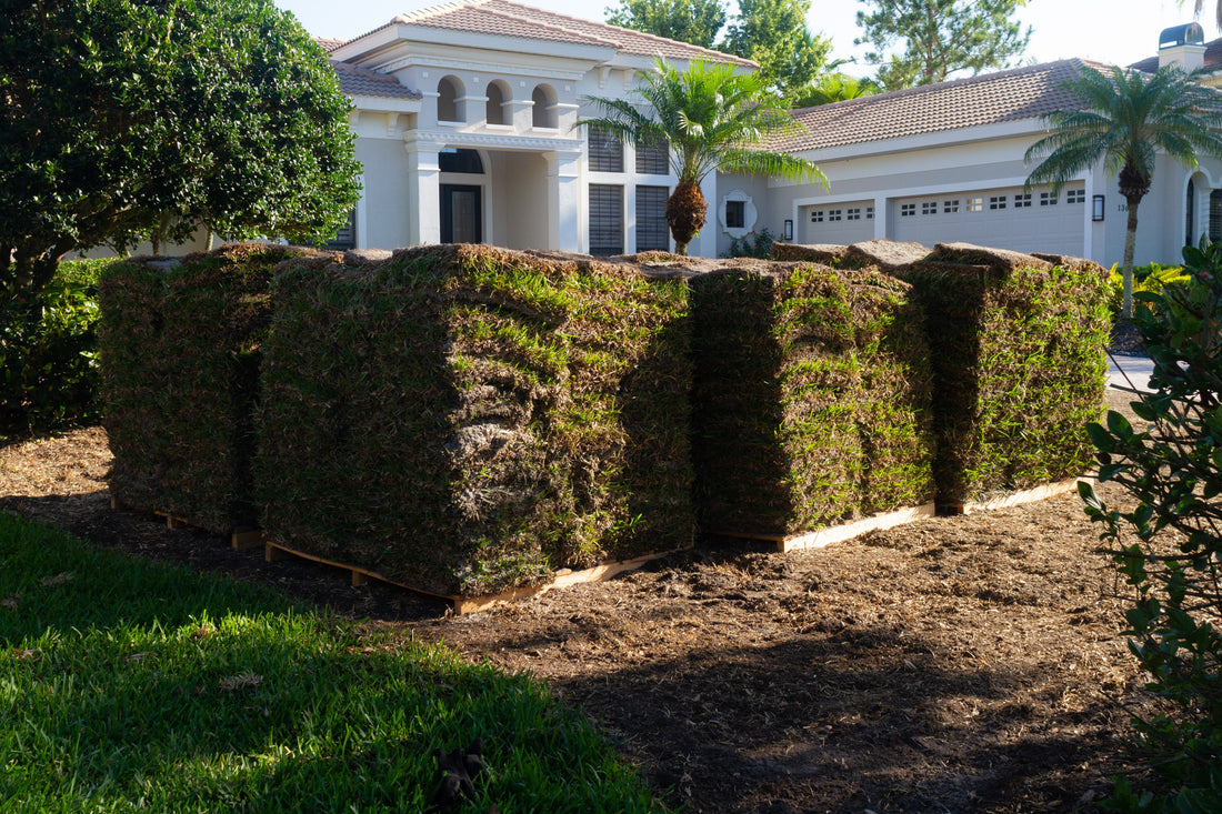 how-much-sod-installation-costs