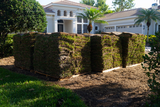 how-much-sod-installation-costs